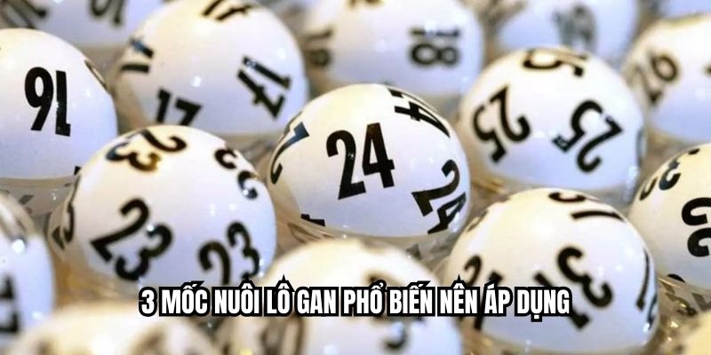 3 mốc nuôi lô gan phổ biến nên áp dụng