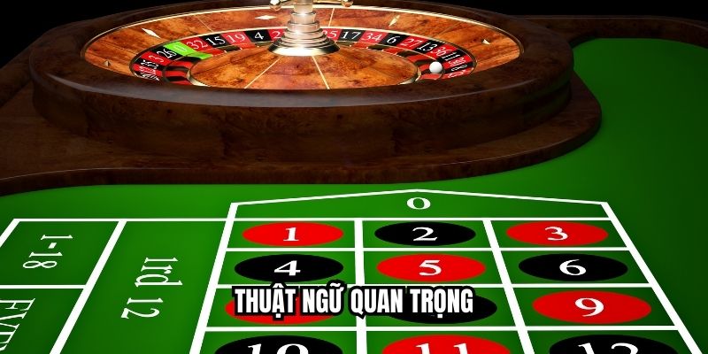 Thuật ngữ quan trọng